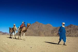 Tikobaouine, Italie 2010- touareg inconnu avec chameau marchant dans le désert du Tassili n'ajjer photo