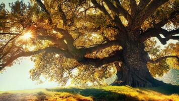 arbre dans l'automne. ai génératif photo