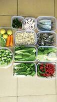arrangement de nourriture préparation avant en mettant il dans le réfrigérateur. divers légumes, fruit et poisson sont mis dans séparé conteneurs. photo