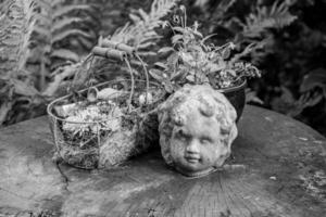 heure d'été dans le jardin photo