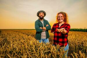 famille agricole profession. homme et femme sont cultiver blé. elles ou ils sont satisfait avec bien le progrès de les plantes. photo