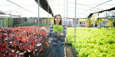 caucasien femelle agriculteur portant est soins pour biologique des légumes à l'intérieur le crèche.jeune entrepreneurs avec un l'intérêt dans agriculture à ferme photo