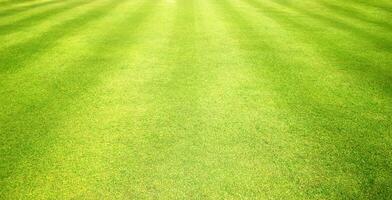 vert herbe pelouse le golf cours Contexte photo