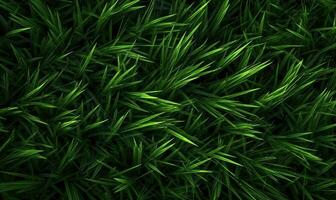 Frais luxuriant vert herbe sur Prairie avec gouttes de l'eau rosée. fermer macro. pour bannière, carte postale, livre illustration. établi avec génératif ai outils photo