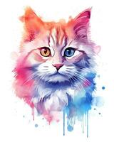 aquarelle La peinture coloré chat visage est montré blanc Contexte photo