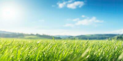 ai généré. ai génératif. vert Frais herbe champ Prairie avec bleu ciel horizon Contexte. moquer en haut inspirant sauvage Extérieur la nature. graphique art photo