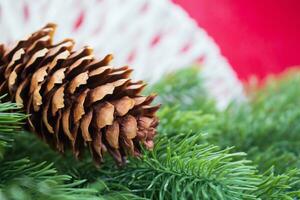marron sapin cône sur épicéa branches derrière rouge Contexte avec blanc fils. Noël, Nouveau an. copie espace photo