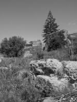 le vieux ville de Tunis photo