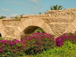 le vieux ville de Tunis photo