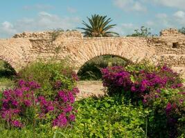 le vieux ville de Tunis photo