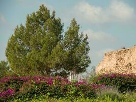 le vieux ville de Tunis photo