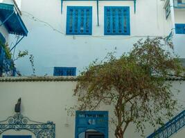 le vieux ville de Tunis photo