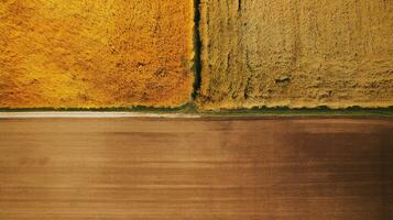 génératif ai, ferme l'automne paysage, agricole des champs, magnifique vert, jaune, Orange et beige campagne, pays route. la nature illustration, photoréaliste Haut vue drone. photo