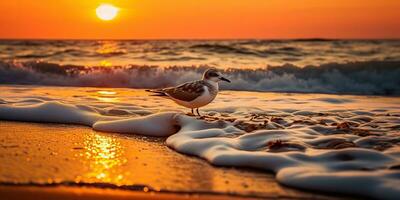 ai généré. ai génératif. beaufil mer nautique le coucher du soleil plage île avec mouette oiseau. graphique art photo