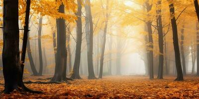 ai généré. ai génératif. l'automne forêt Extérieur la nature Orange Jaune parc tomber paysage Contexte. graphique art photo