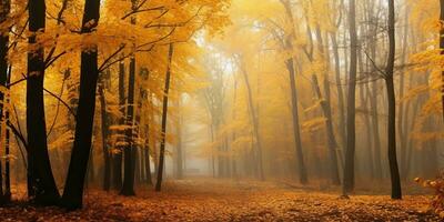 ai généré. ai génératif. l'automne forêt Extérieur la nature Orange Jaune parc tomber paysage Contexte. graphique art photo