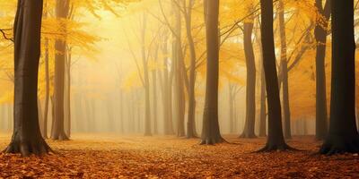 ai généré. ai génératif. l'automne forêt Extérieur la nature Orange Jaune parc tomber paysage Contexte. graphique art photo