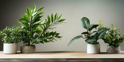 ai généré. ai génératif. vert Frais magnifique fleur les plantes sur en bois table et mur. moquer en haut décoratif modèle. graphique art photo