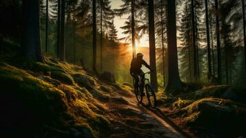 Montagne motard sur forêt Piste dans le le coucher du soleil. génératif ai photo