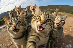 une groupe de chats prise une selfie sur une flou Contexte. génératif ai photo