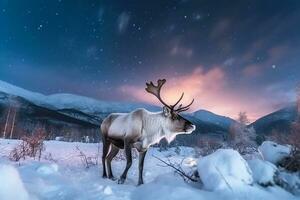 renne dans le neige avec aurore lumière.générative ai. photo