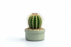 cactus dans pot isolé sur blanc arrière-plan.génératif ai. photo