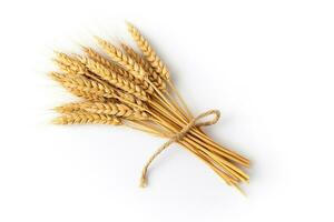 sec blé oreilles de riz isoler sur blanc Contexte photo