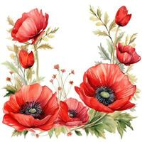 aquarelle coquelicot fleurs Contexte photo