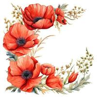 aquarelle coquelicot fleurs Contexte photo