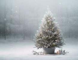 vacances Contexte avec Noël arbre photo