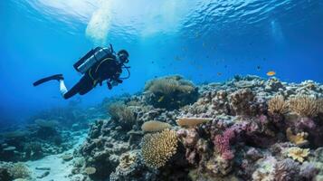 scaphandre autonome plongée dans rouge mer photo