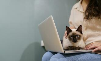 femme travail de Accueil avec chat. chat endormi sur le portable clavier. assistant chat travail à portable photo