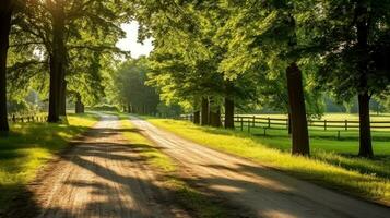 chemin façon par le automnal forêt Naturel chemin, route à le tropical forêt champ, relaxant avec écologique environnement, liberté mode de vie concept, génératif ai illustration photo