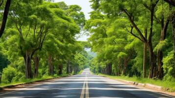 chemin façon par le automnal forêt Naturel chemin, route à le tropical forêt champ, relaxant avec écologique environnement, liberté mode de vie concept, génératif ai illustration photo