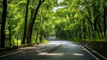 chemin façon par le automnal forêt Naturel chemin, route à le tropical forêt champ, relaxant avec écologique environnement, liberté mode de vie concept, génératif ai illustration photo