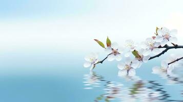 magnifique fleur épanouissement branche plus de le l'eau avec réflexion dans une étang, fermer avec doux se concentrer, génératif ai illustration photo