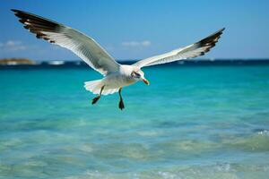 océan lié mouette, ensoleillé ciels, côtier liberté dans vol ai généré photo