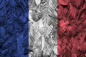 France drapeau représenté sur beaucoup feuilles de monstera paume des arbres. branché à la mode toile de fond photo