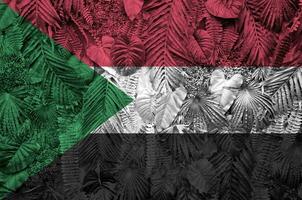 Soudan drapeau représenté sur beaucoup feuilles de monstera paume des arbres. branché à la mode toile de fond photo