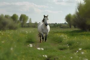 Jeune marron cheval galopant, sauter sur le champ sur une neutre Contexte. neural réseau ai généré photo