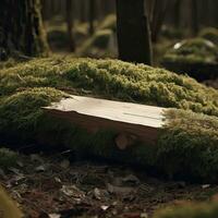 funéraire cœur la sympathie ou en bois funéraire cœur près une arbre. Naturel enterrement la tombe dans le forêt. cœur sur herbe ou mousse. arbre enterrement, cimetière et tout saints journée concepts génératif ai photo