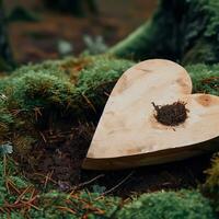 funéraire cœur la sympathie ou en bois funéraire cœur près une arbre. Naturel enterrement la tombe dans le forêt. cœur sur herbe ou mousse. arbre enterrement, cimetière et tout saints journée concepts génératif ai photo