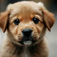 une marron chiot avec une noir nez et une noir nez génératif ai photo