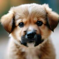 une marron chiot avec une noir nez et une noir nez génératif ai photo