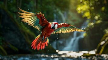 rouge perroquet dans le forêt. lam que rivière. ara perroquet en volant dans foncé vert végétaux, rouge perroquet dans le forêt. photo