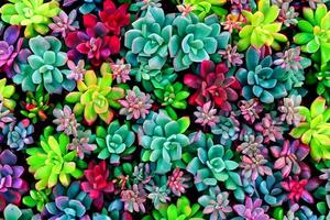 plantes succulentes arrière-plan, ai génératif photo