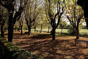 automne dans le lot, france photo