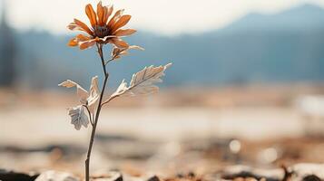 une seul Orange fleur dans le milieu de une champ génératif ai photo