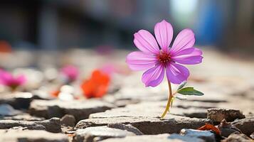 une Célibataire violet fleur croissance en dehors de une fissure dans le sol génératif ai photo