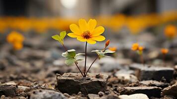 une petit Jaune fleur est croissance en dehors de le sol génératif ai photo